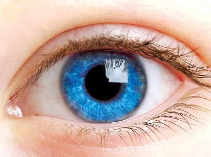 eye