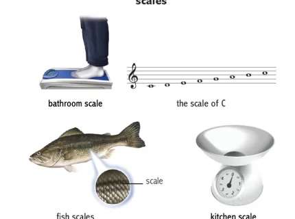 scale