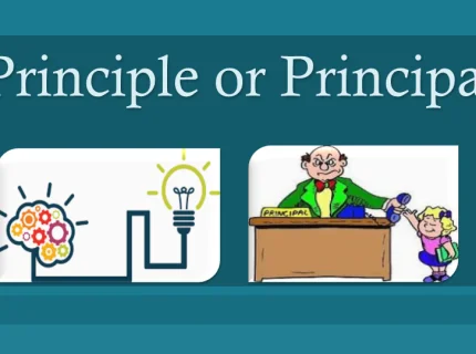 principle