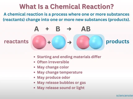 reaction