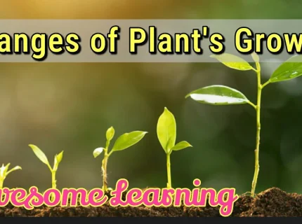 growing