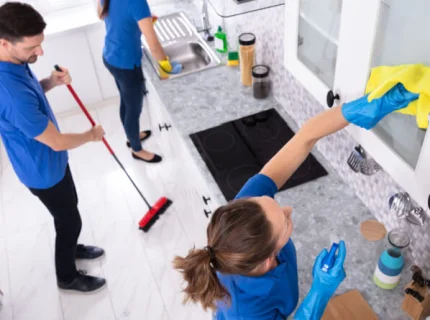 domestic