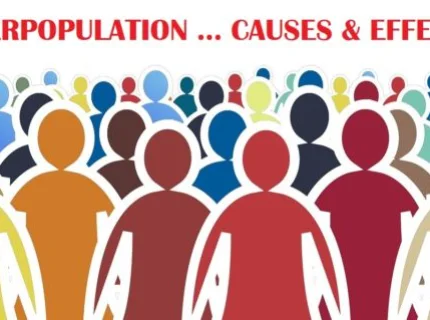 overpopulation