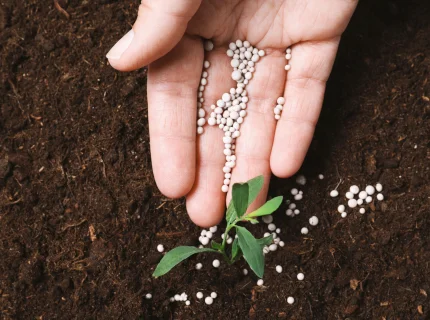fertilise
