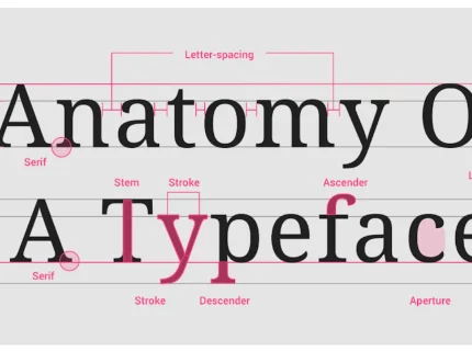 typeface