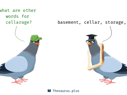cellarage