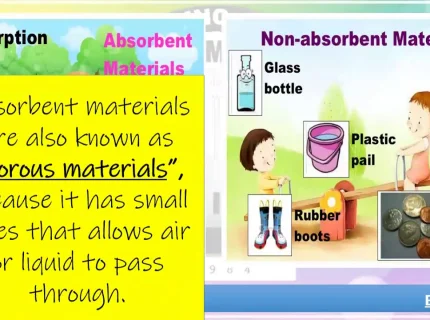 absorbent