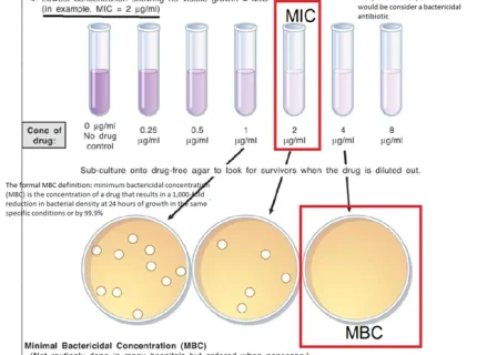 bactericide