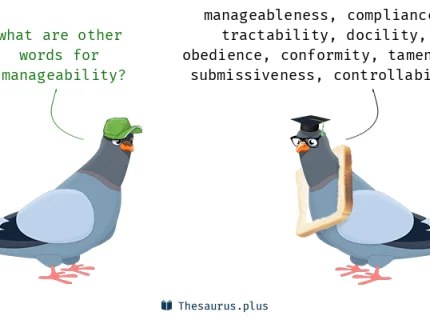 manageability