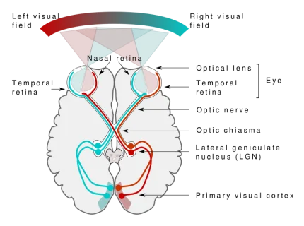 convolution