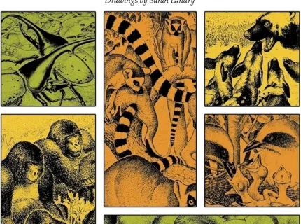 sociobiology