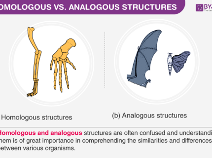 heterologous