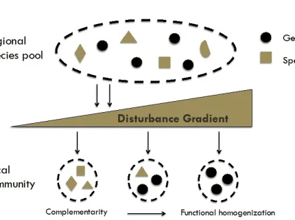 homogenisation