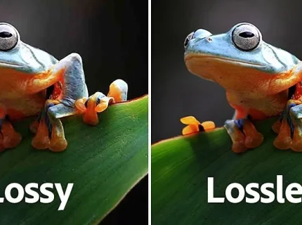lossless