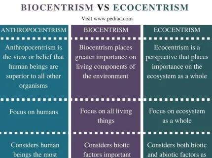 anthropocentrism