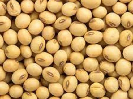 soya