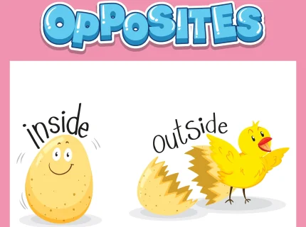 oppositive