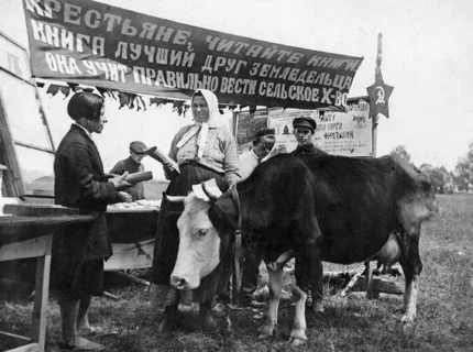 collectivization
