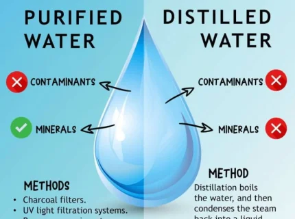 purified
