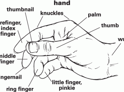 handed
