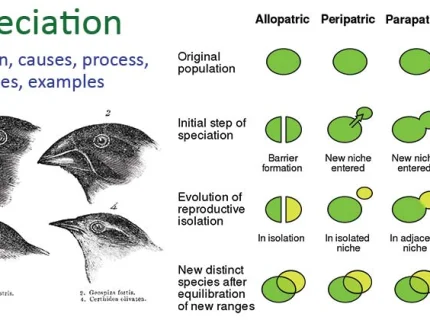 speciation