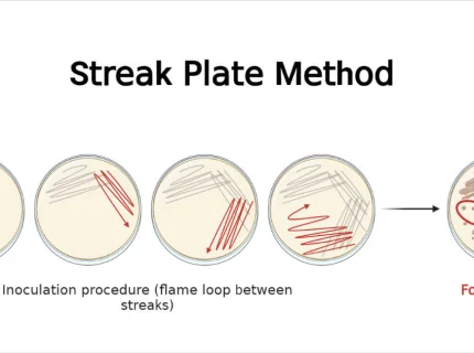streaked