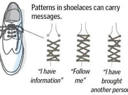 shoelace
