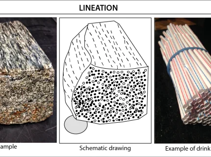 lineation