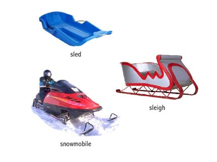 sled