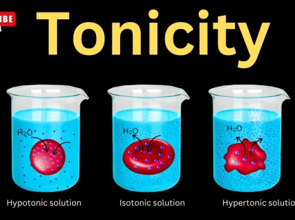 tonicity