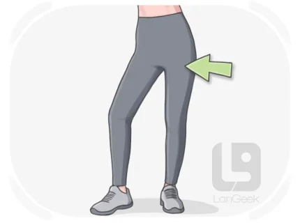 skintight