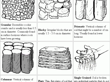 blocky