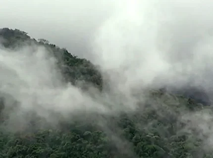 fogged