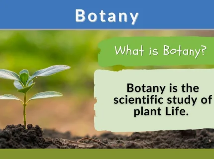 botany
