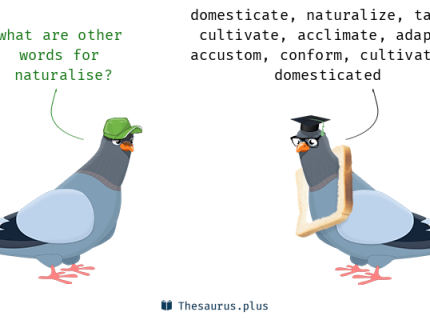 naturalize
