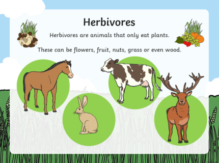 herbivorous