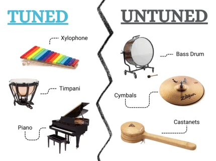 percussionist