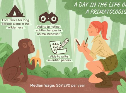 primatology