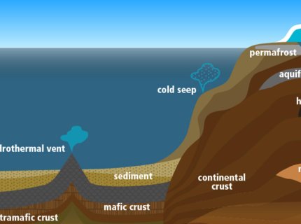 subsurface