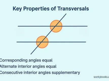 transversal