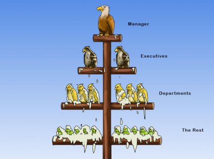 centralise