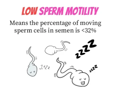 motility