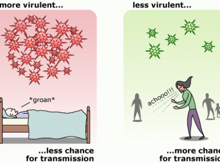 virulence