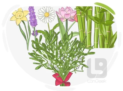 botanize