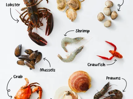 crustacean