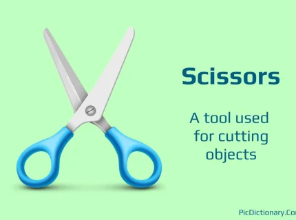 scissor