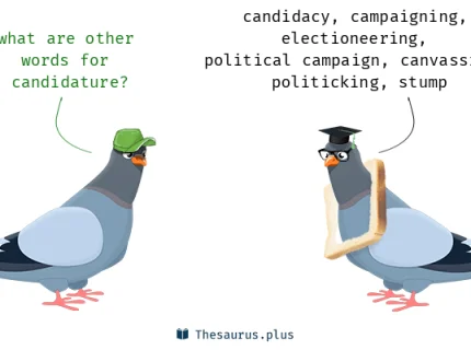 candidature
