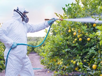 fungicide
