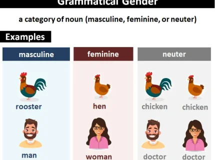 gender