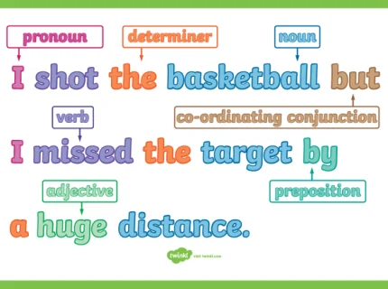 sentence